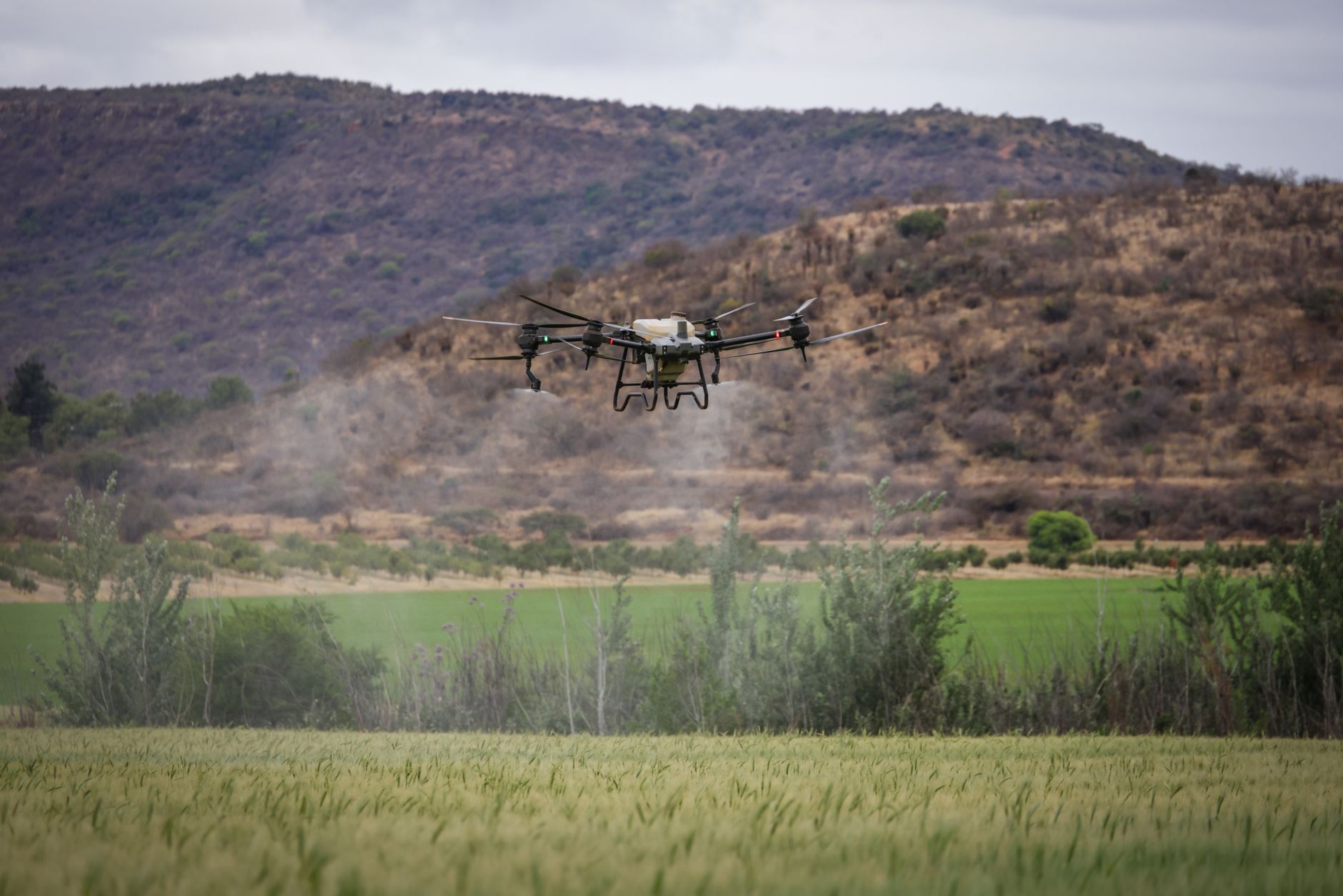 HoverAir X1 compact drone hovering above open hands outdoors